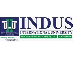 indus international university